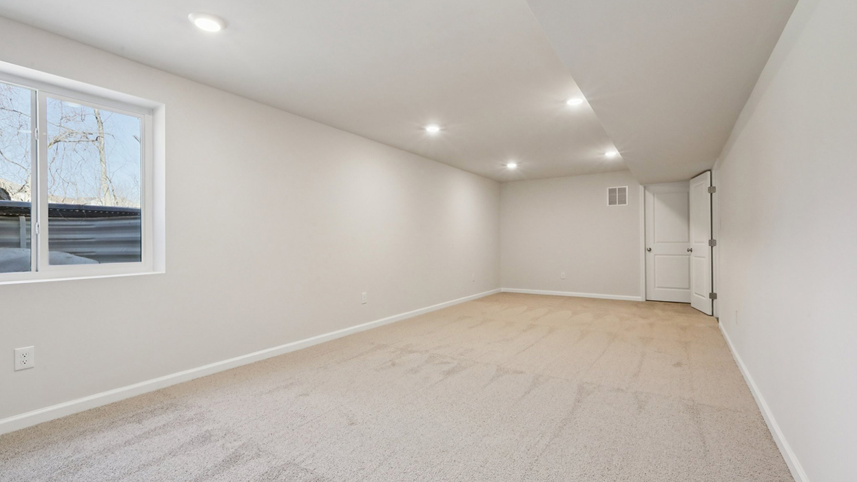Lower level rec room