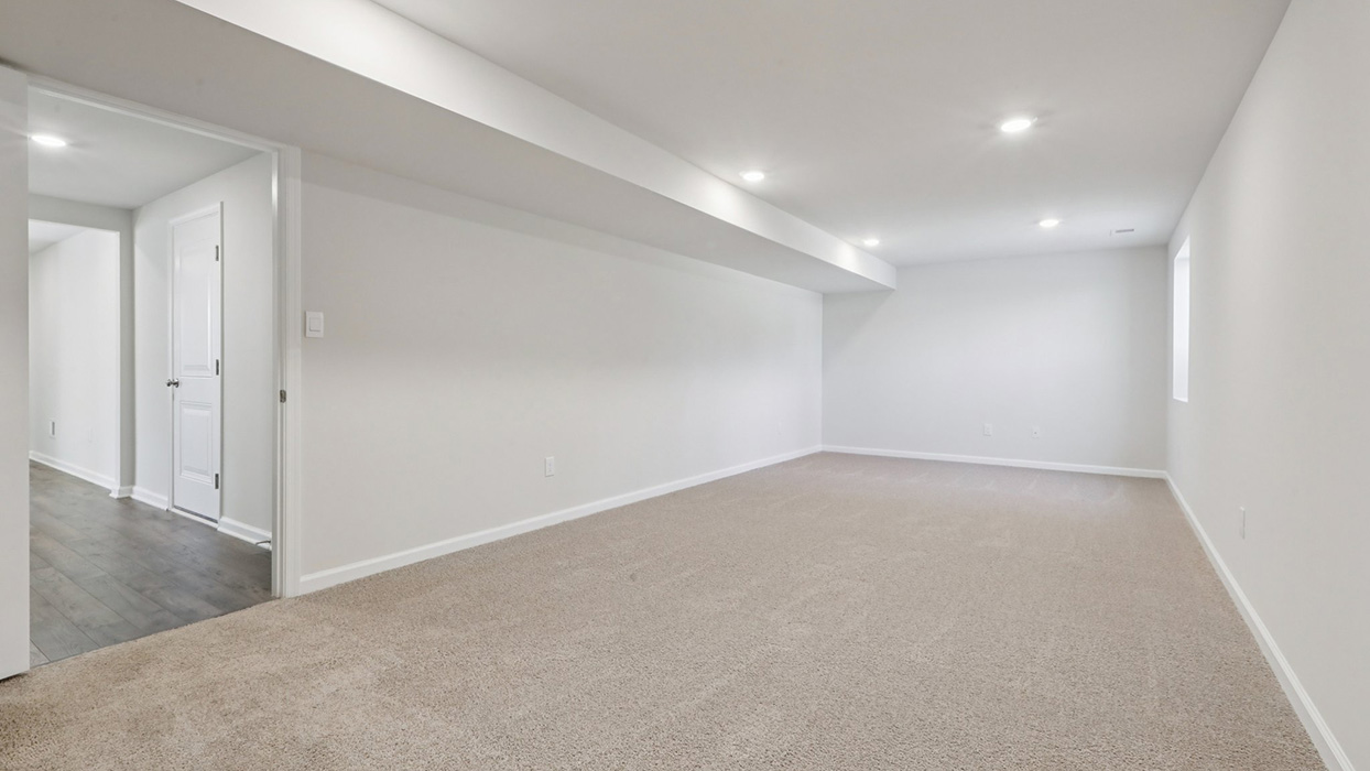 Lower level rec room