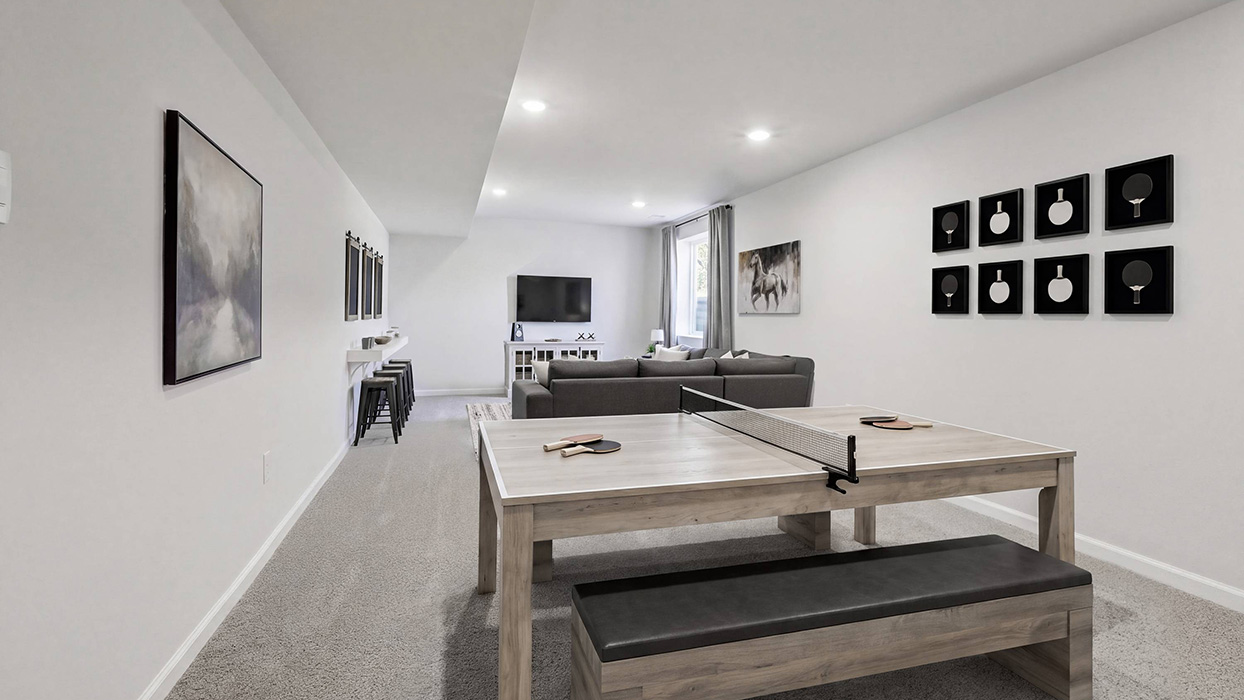 Lower level rec room