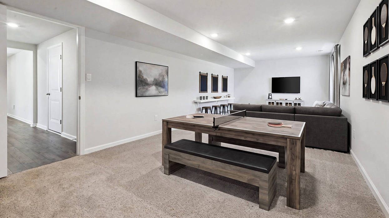 Lower level rec room