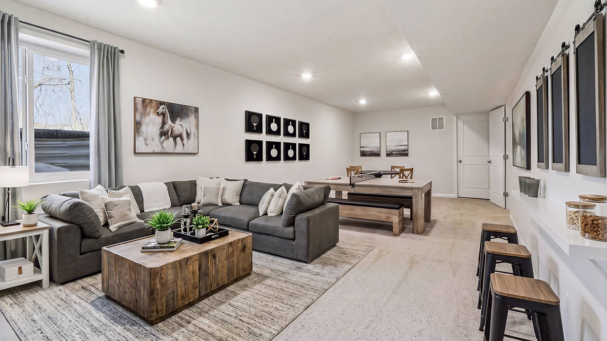 Lower level rec room