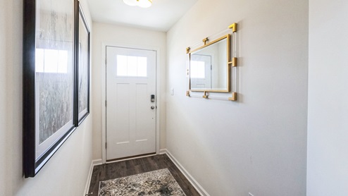 Foyer entrance on the lower level.