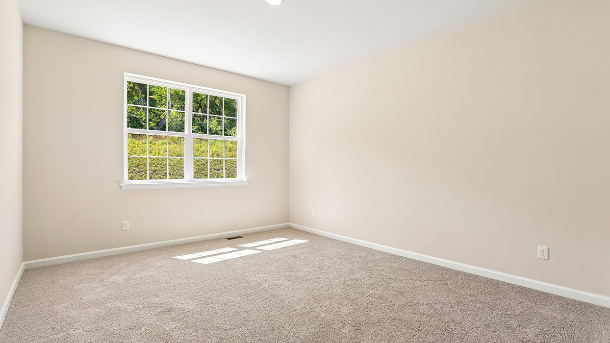 Spacious primary bedroom with plush carpet, large window, and abundant natural light.