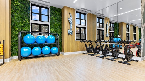 Storage rack of exercise balls in front of a faux-foliage accent wall beside several stationery bikes in the fitness center.