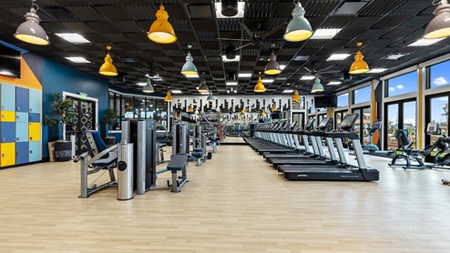 Weight machines and a full row of treadmills in front of a wall of windows in the Amblebrook fitness center.