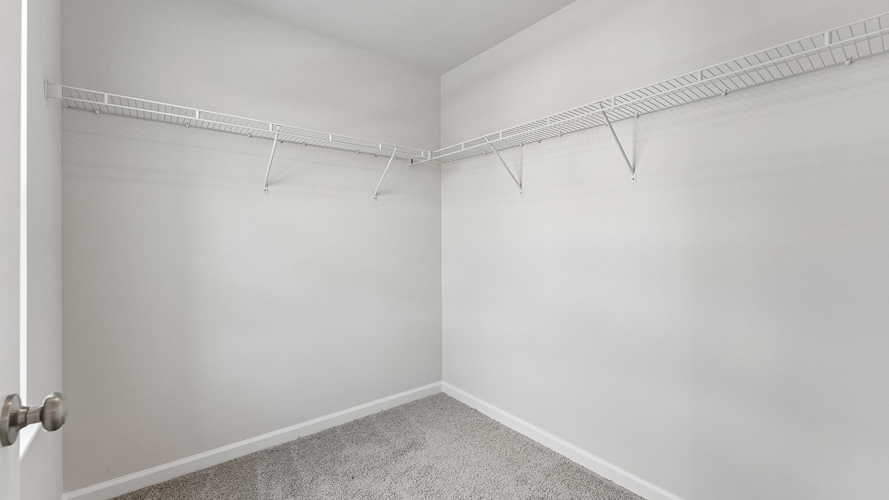 Walk-in closet with carpet flooring and wraparound wire shelving for organized storage