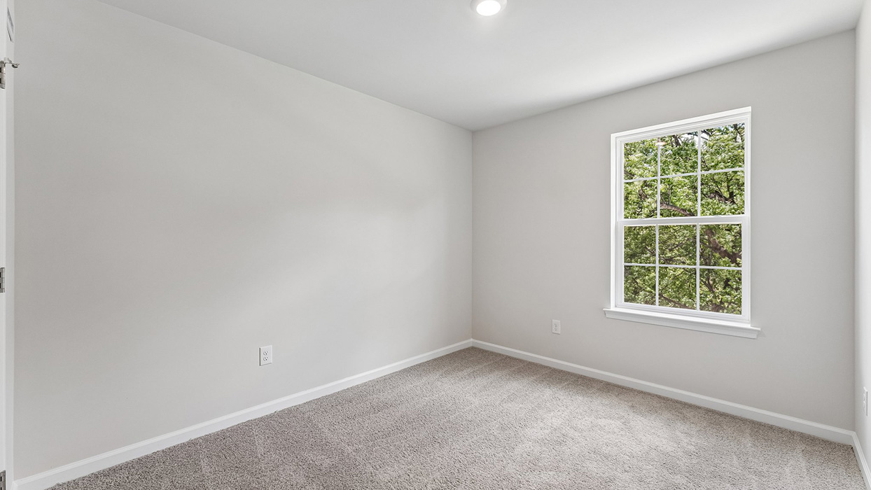 Bedroom with carpet flooring, single window, and neutral wall tones