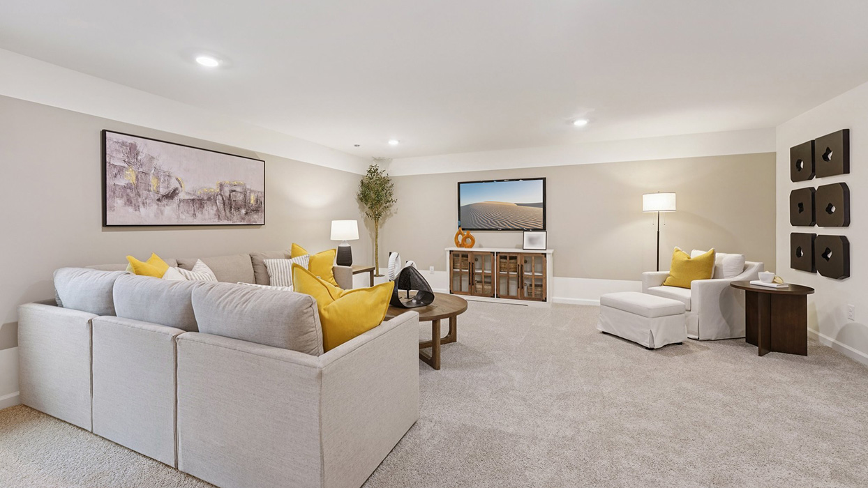 A basement can be used as a rec room.