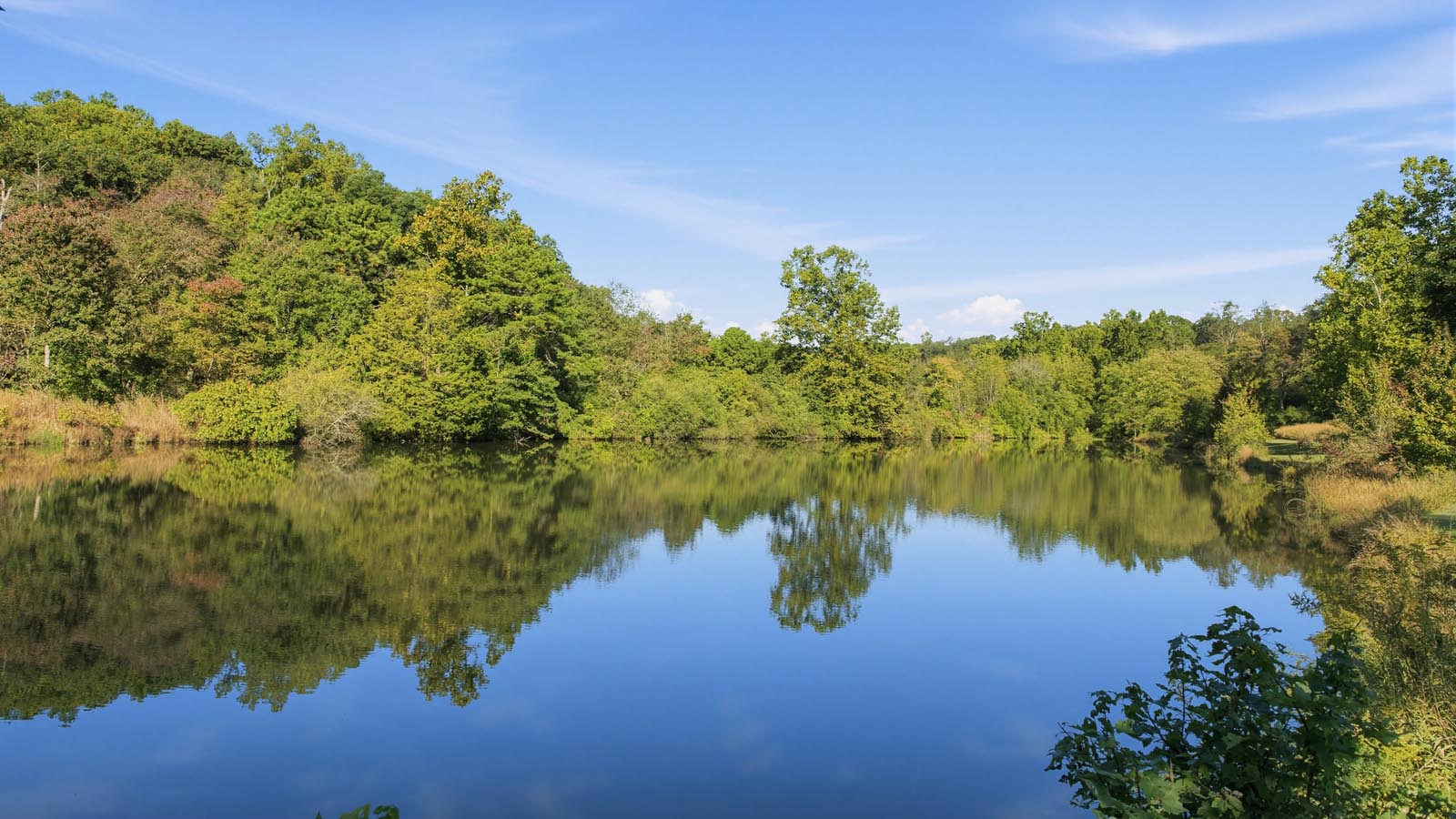 a beautiful Chester County PA landscape with lake and many lush trees