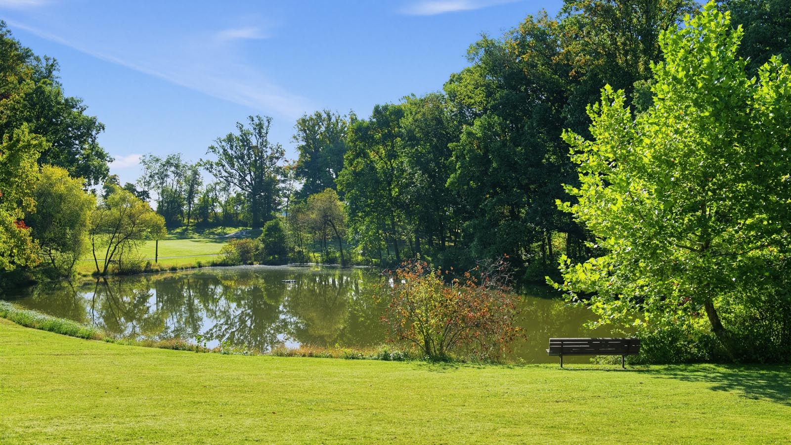 a beautiful sunny Chester County PA landscape with lake and many lush trees
