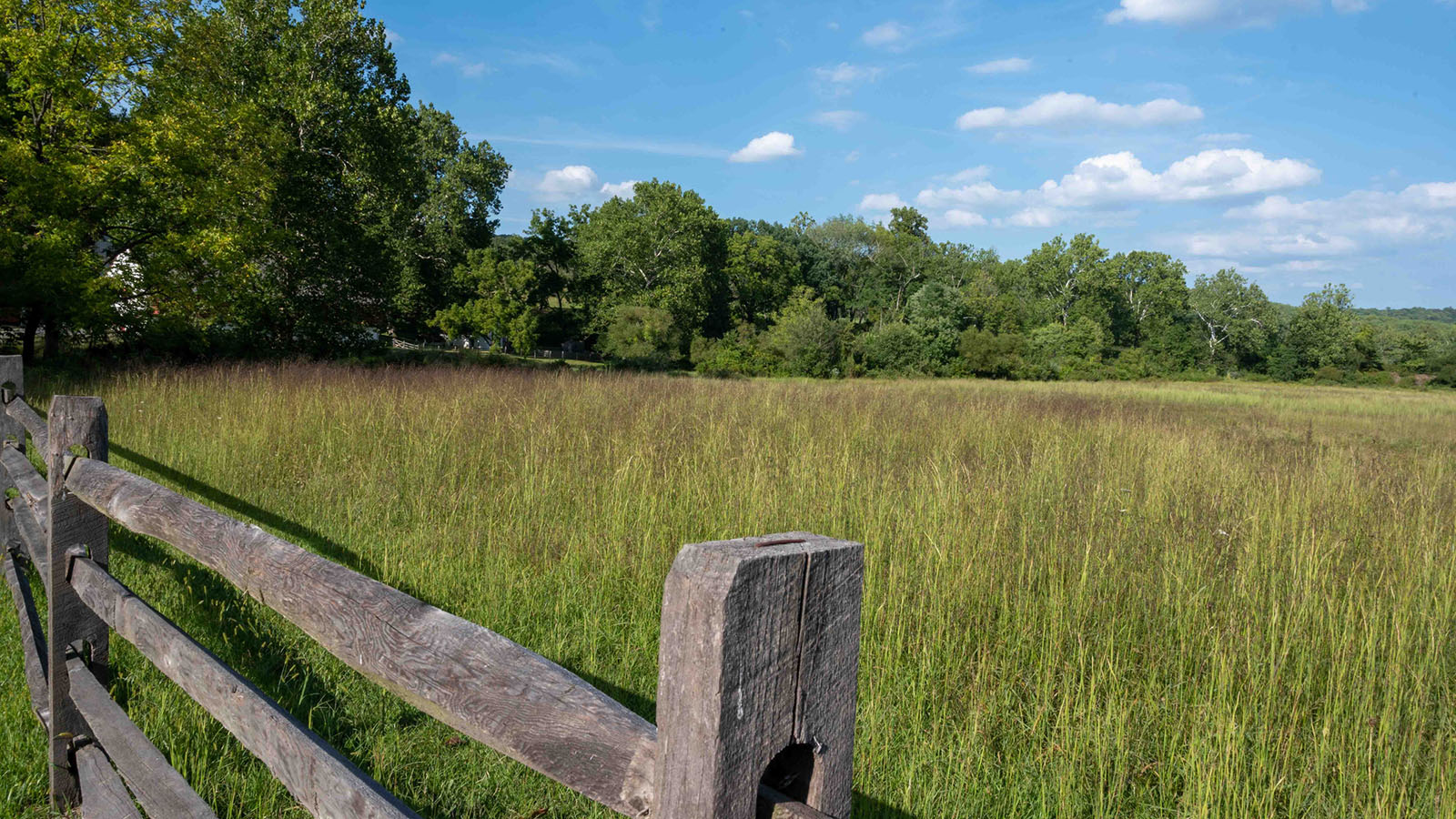 a beautiful landscape in Chester County PA