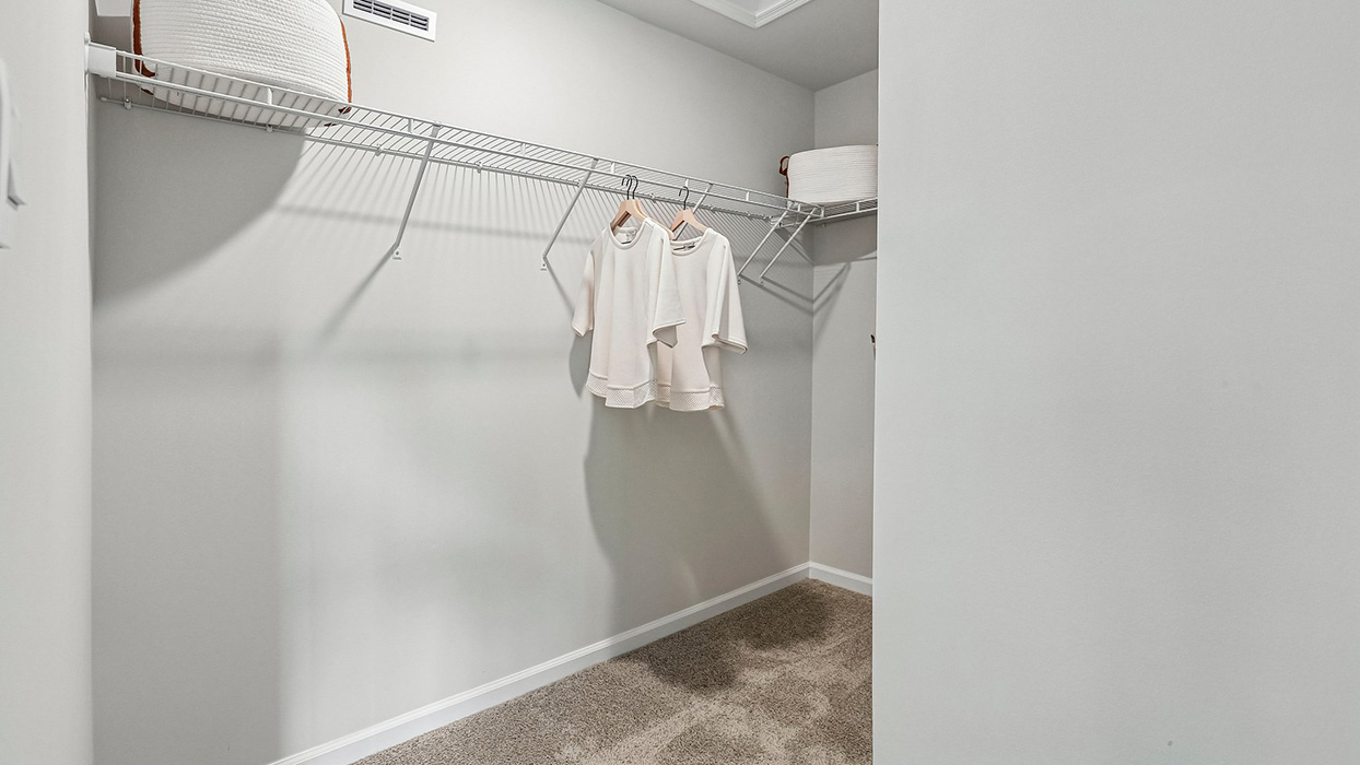 Walk-in closet with built-in shelving and hanging space designed for organization