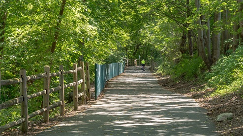 A beautiful walking trail located in Forks Township