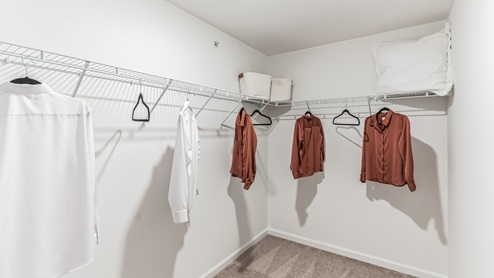 Primary closet connected to the bathroom.
