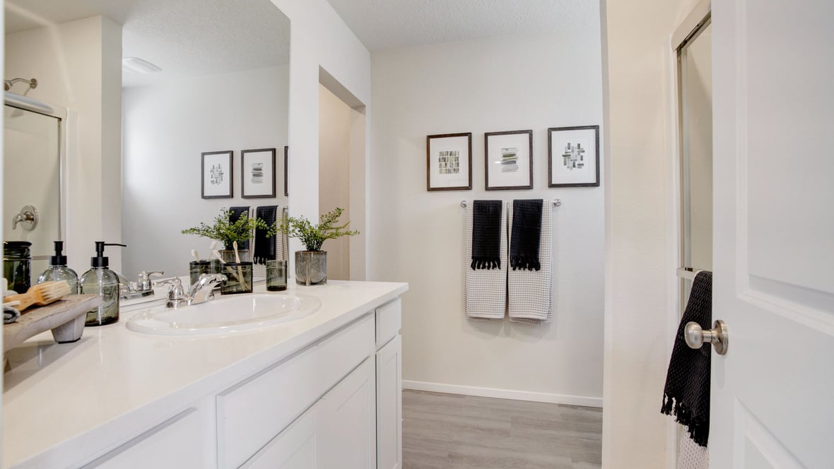 Primary bathroom with quartz counters and a walk-in shower