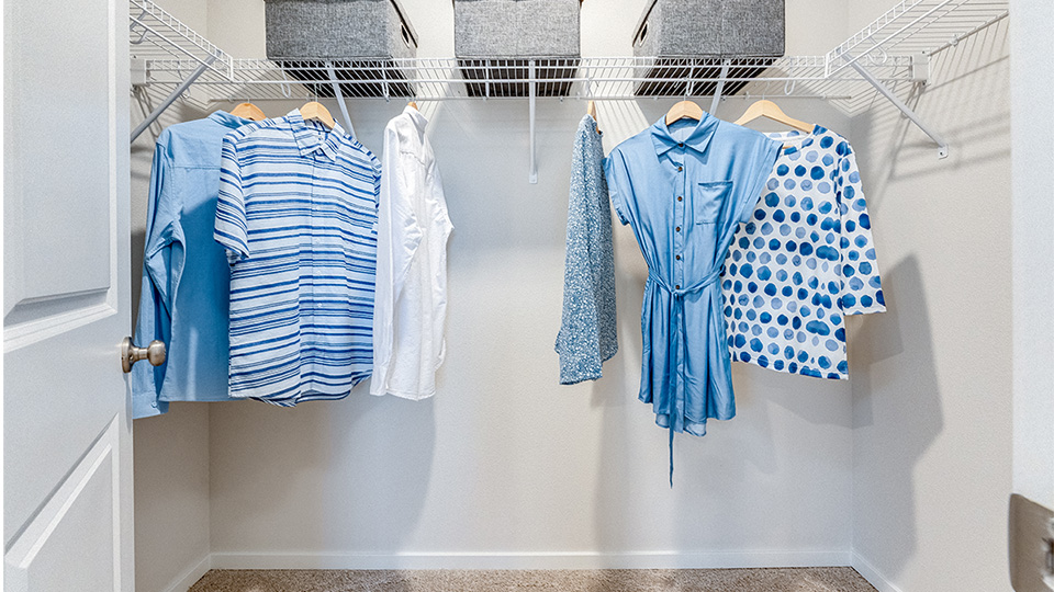 primary bedroom walk in closet