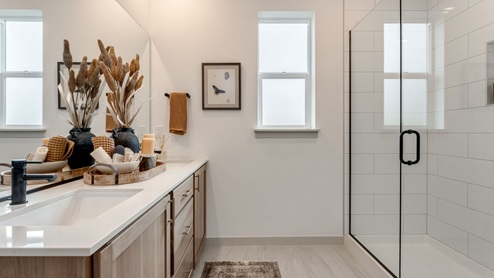 Primary bathroom with quartz counters and a walk-in shower