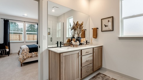 Primary bathroom with quartz counters and a walk-in shower