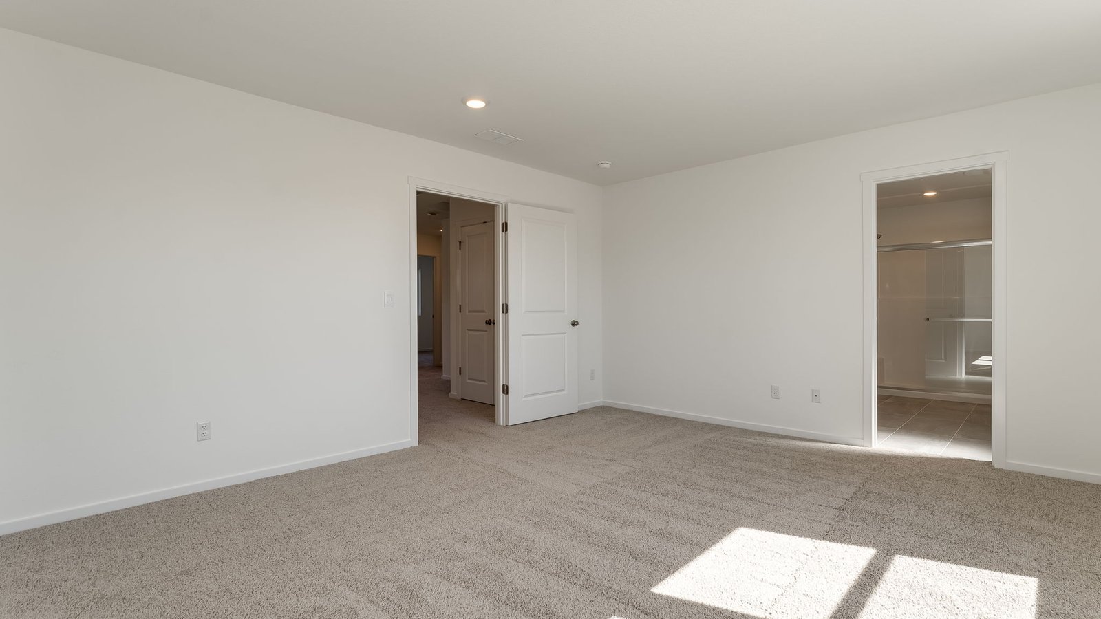 Primary bedroom with wall-to-wall carpet, a walk-in closet and an attached bathroom