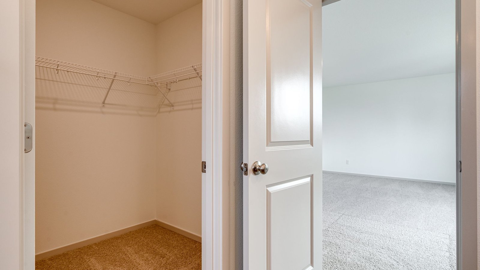 Primary bathroom with quartz counters and a walk-in shower