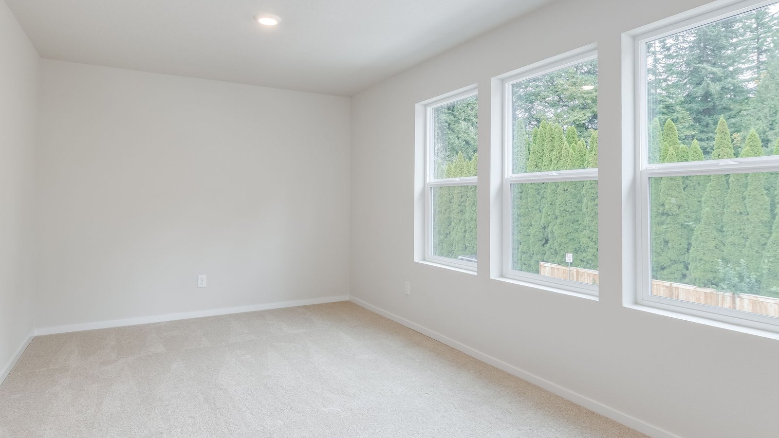 Bonus room with wall-to-wall carpet