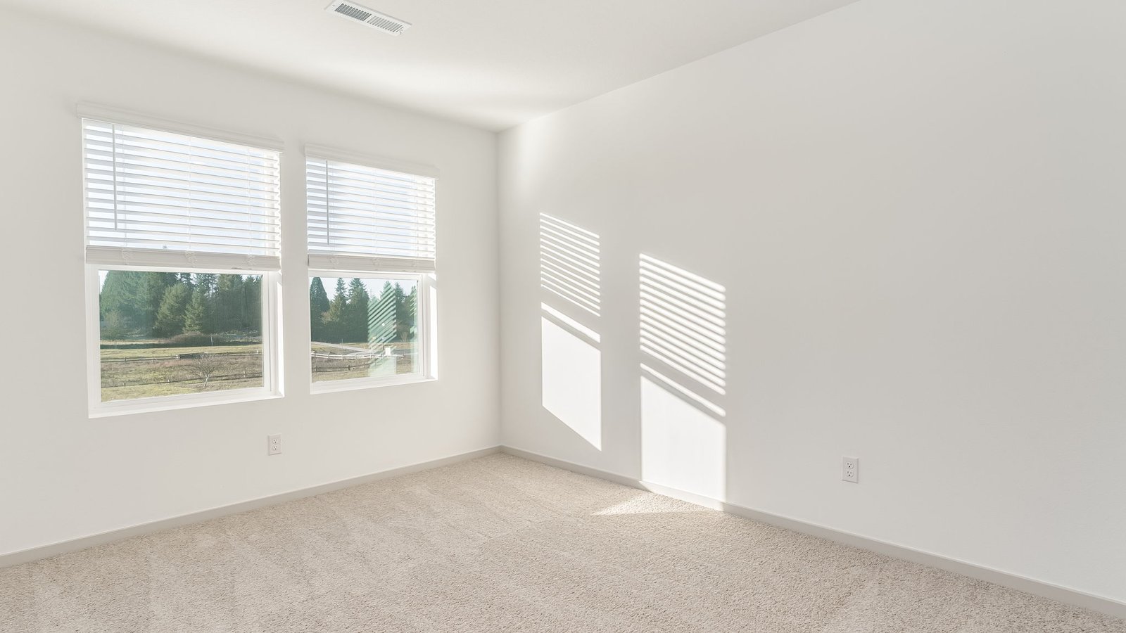 Bedroom with wall-to-wall carpet and a closet