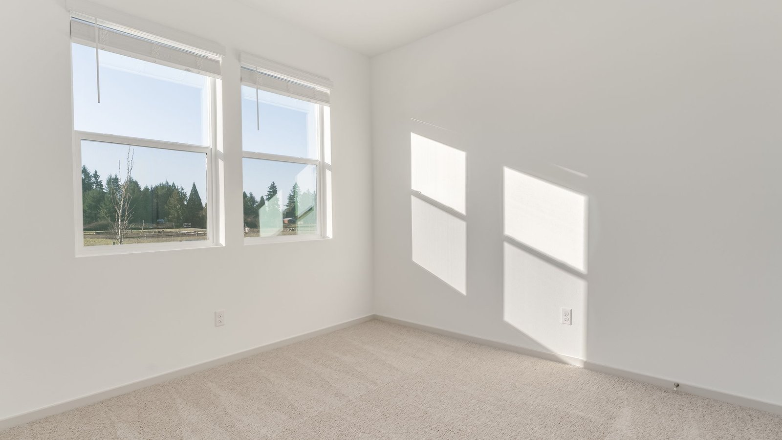 Bedroom with wall-to-wall carpet and a closet