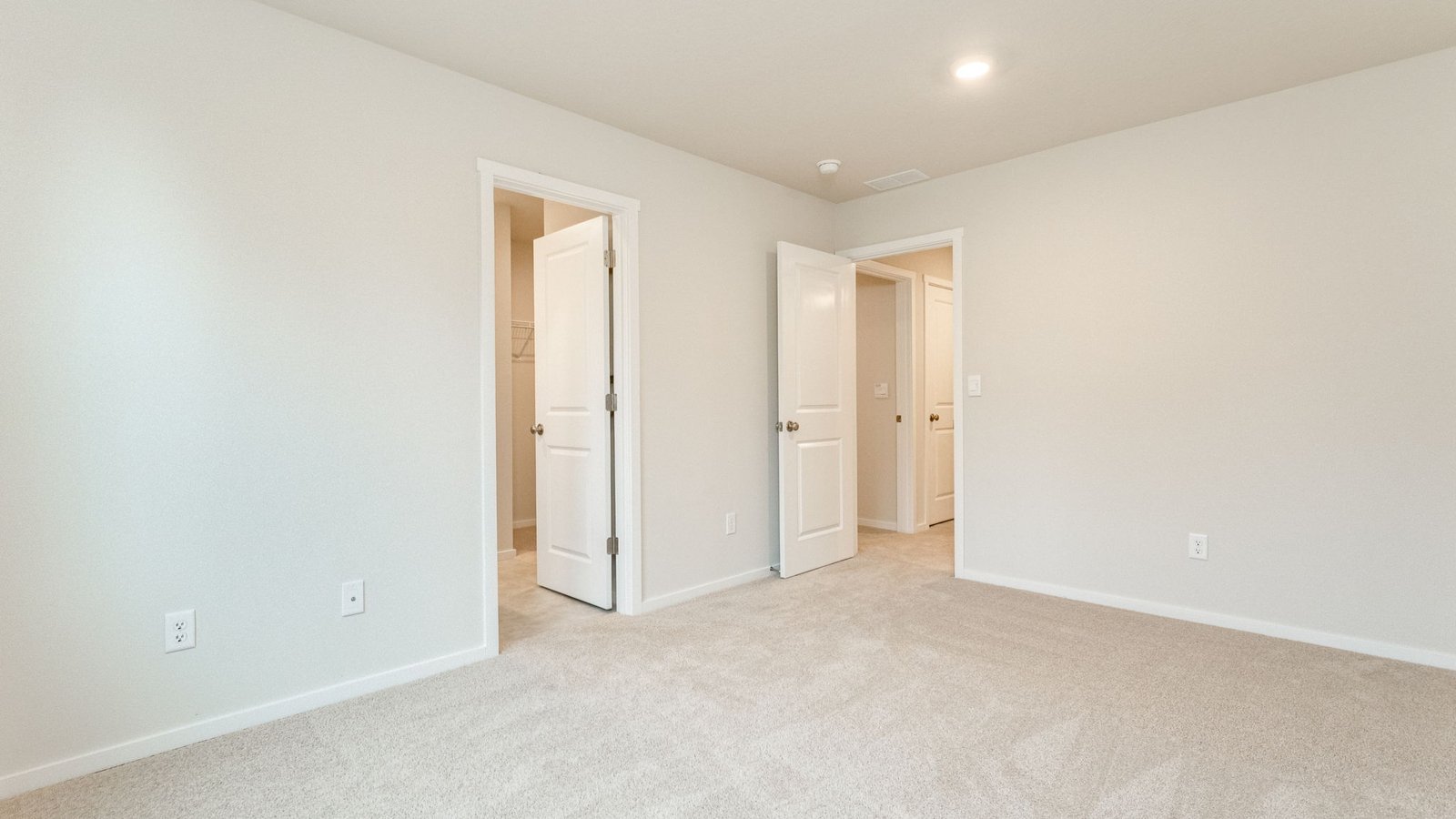 Primary bedroom with wall-to-wall carpet, a walk-in closet and an attached bathroom