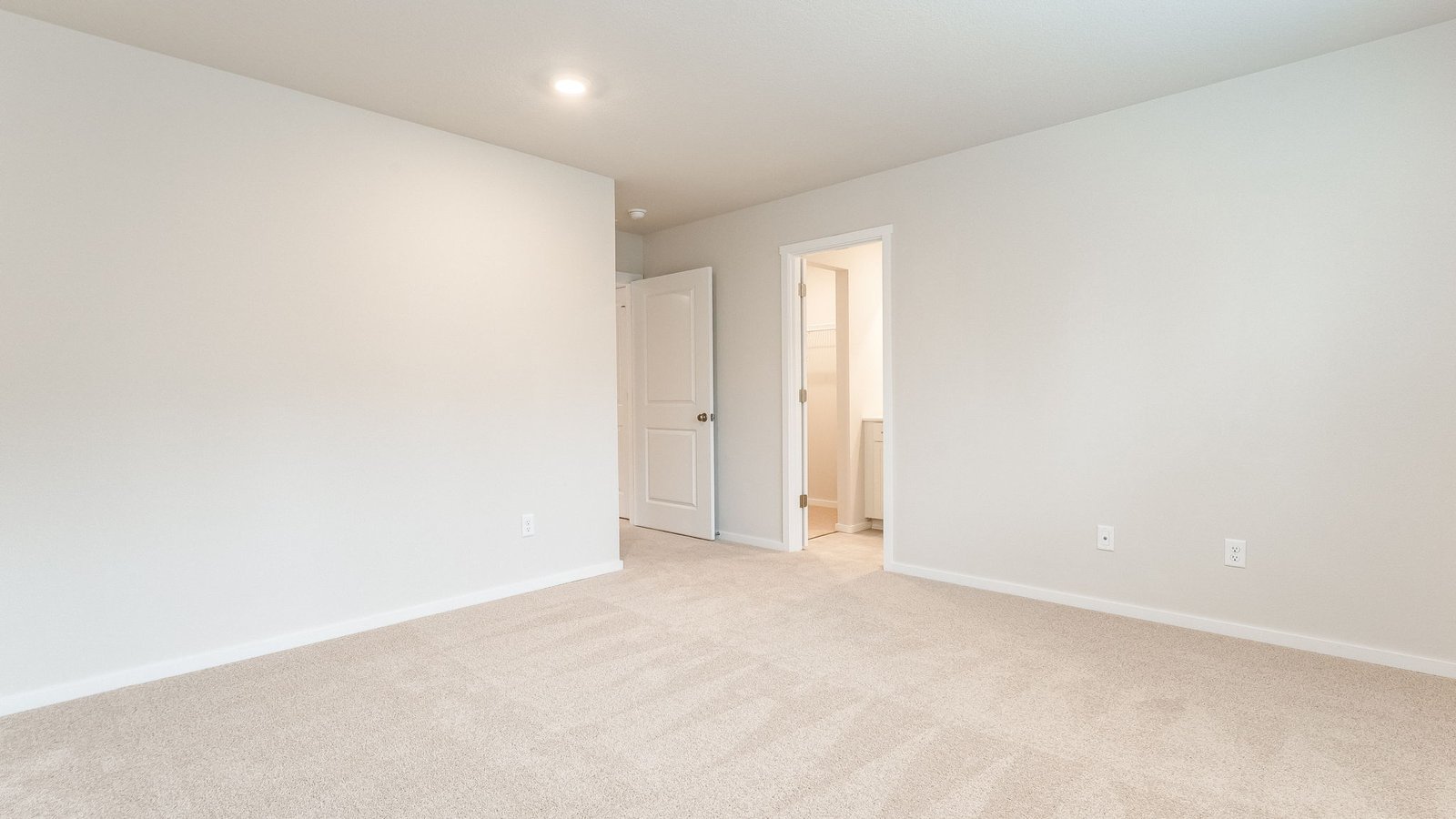 Primary bedroom with wall-to-wall carpet, a walk-in closet and an attached bathroom