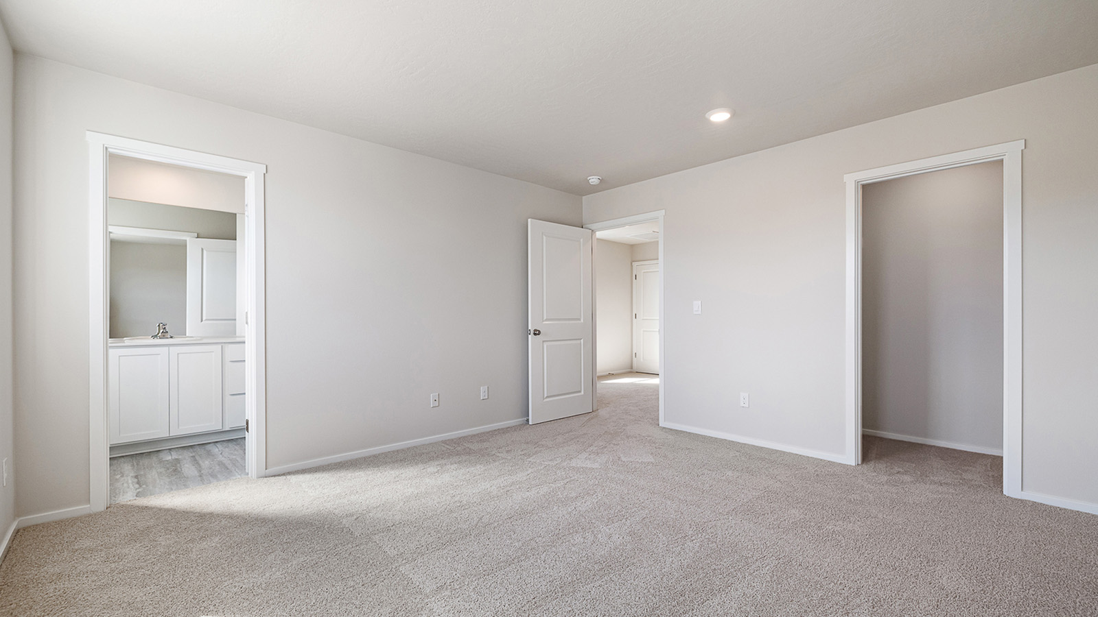 Primary bedroom with wall-to-wall carpet, a walk-in closet and an attached bathroom