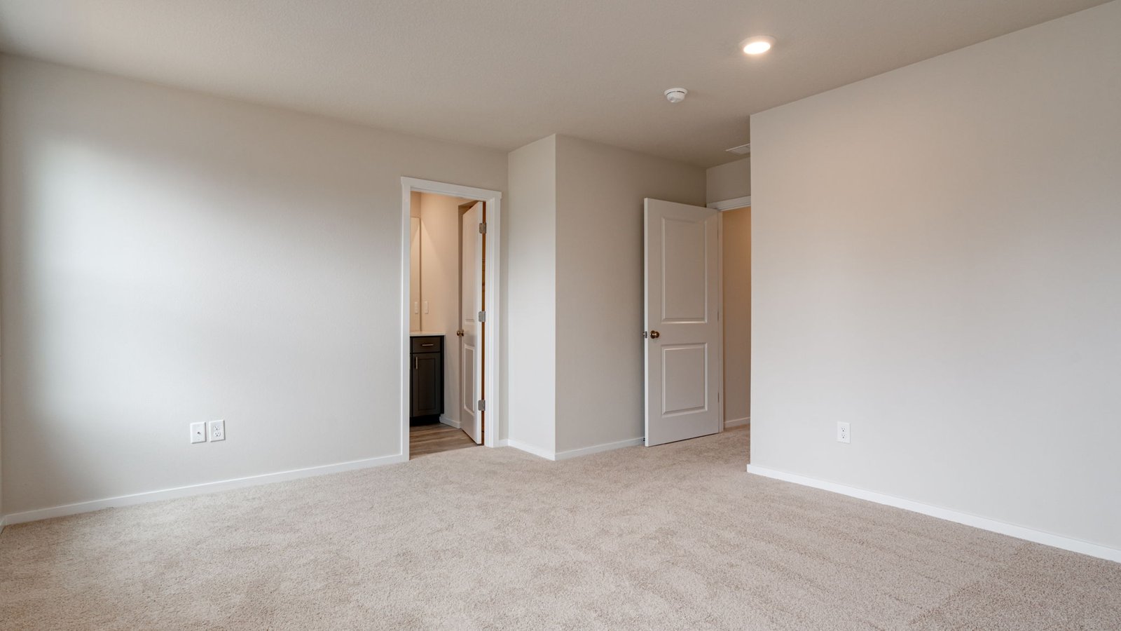 Primary bedroom with wall-to-wall carpet, a walk-in closet and an attached bathroom