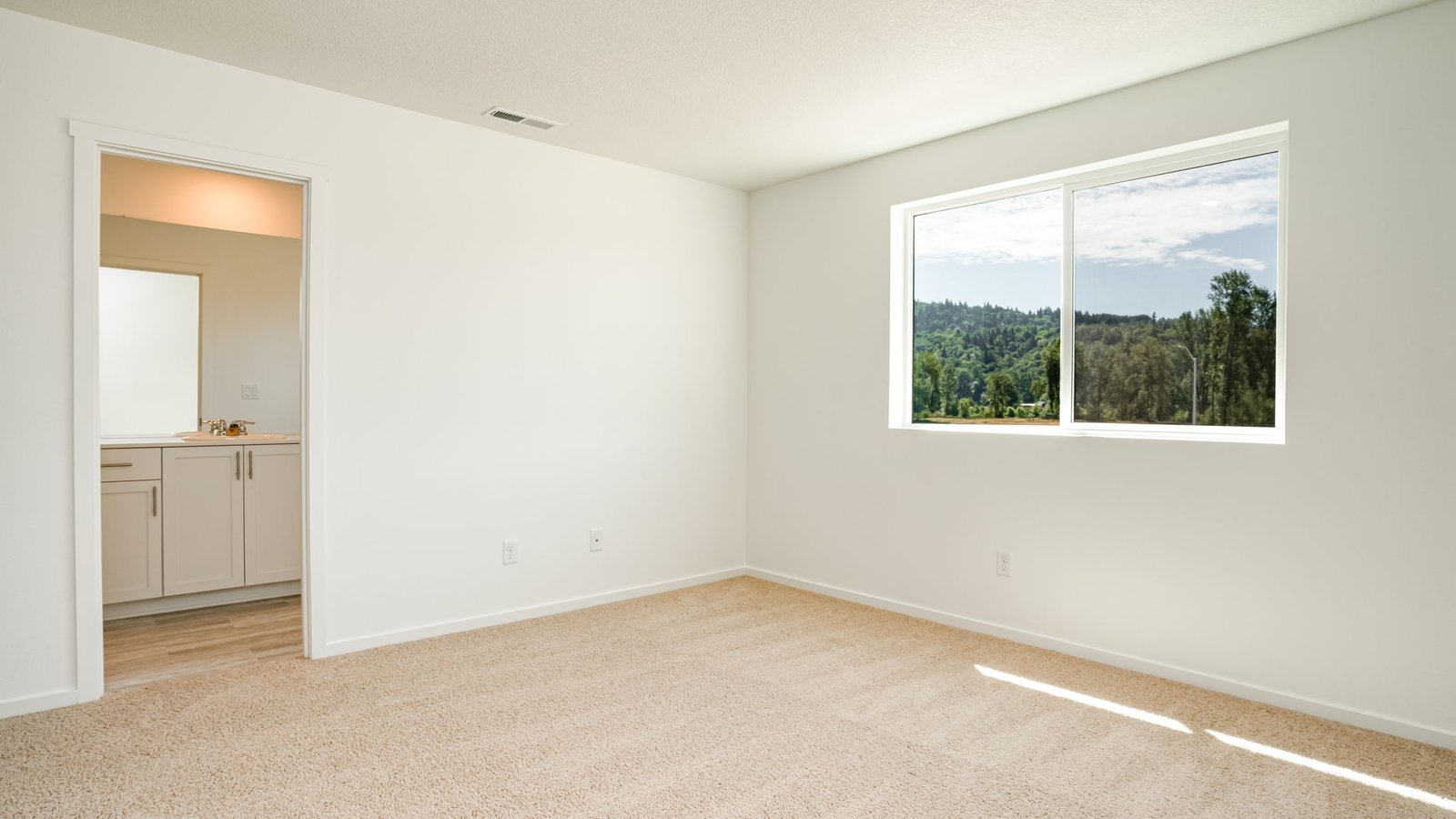 Primary bedroom with wall-to-wall carpet, a walk-in closet and an attached bathroom