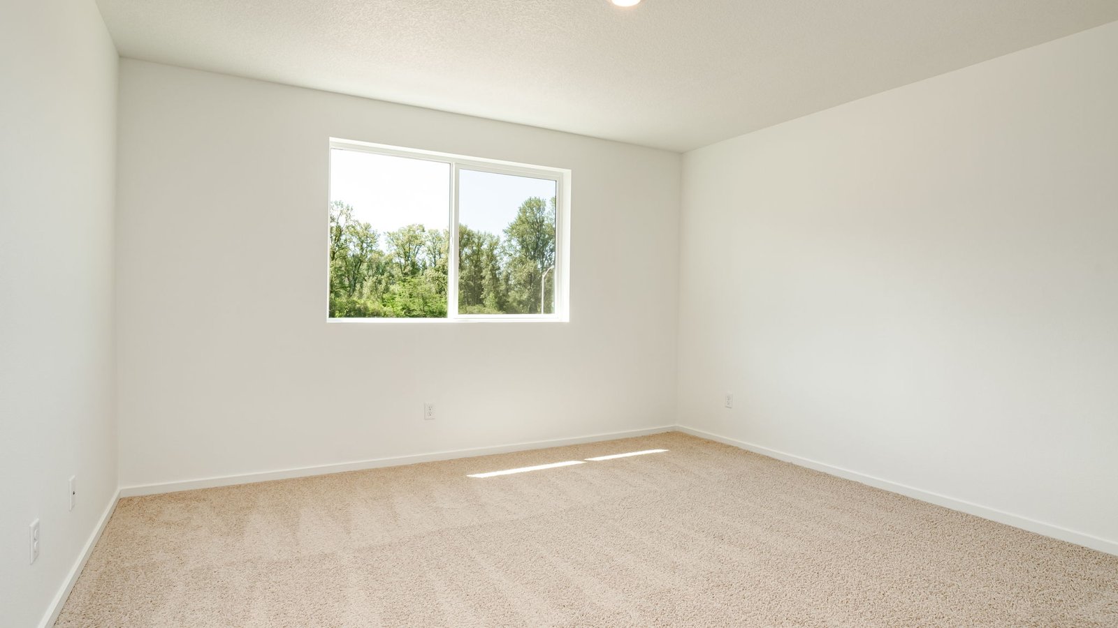 Primary bedroom with wall-to-wall carpet, a walk-in closet and an attached bathroom