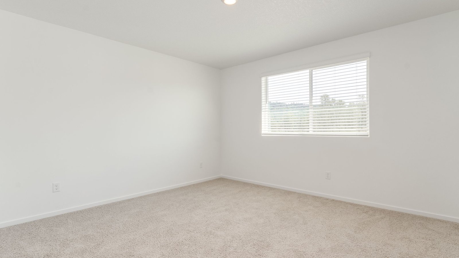 Primary bedroom with wall-to-wall carpet, a walk-in closet and an attached bathroom