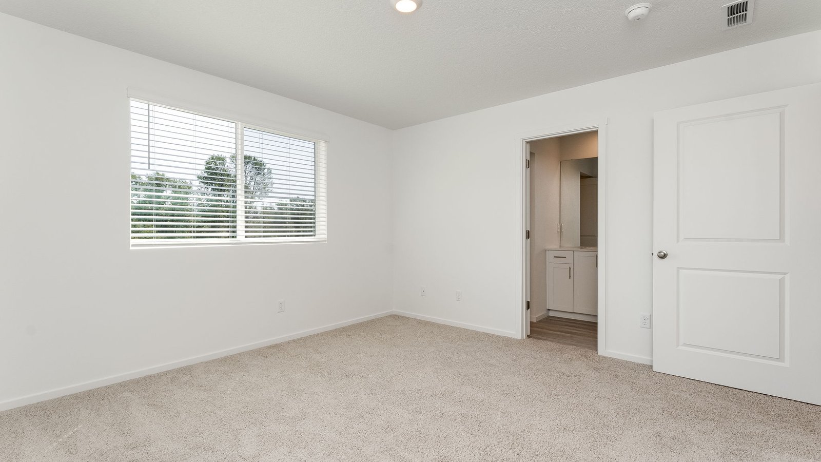 Primary bedroom with wall-to-wall carpet, a walk-in closet and an attached bathroom