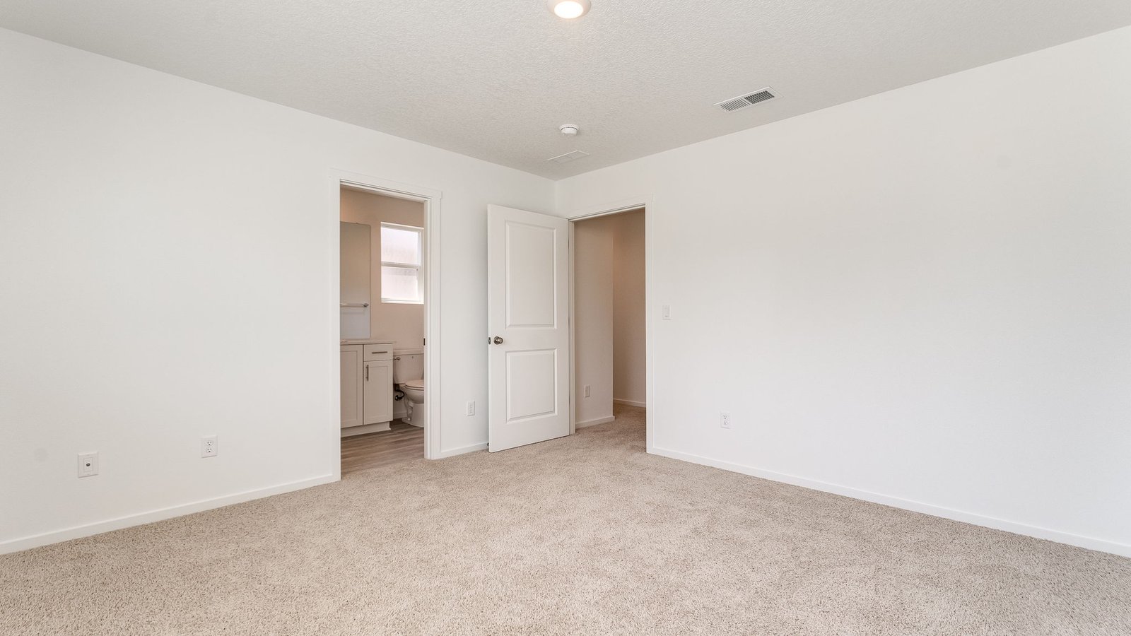 Primary bedroom with wall-to-wall carpet, a walk-in closet and an attached bathroom