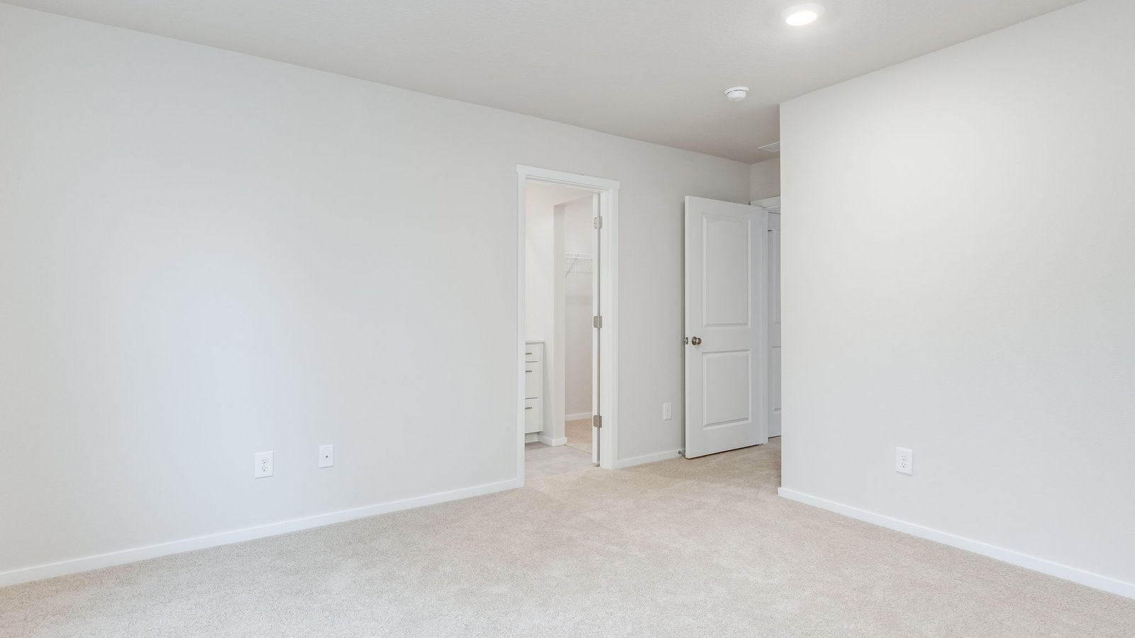 Primary bedroom with wall-to-wall carpet, a walk-in closet and an attached bathroom