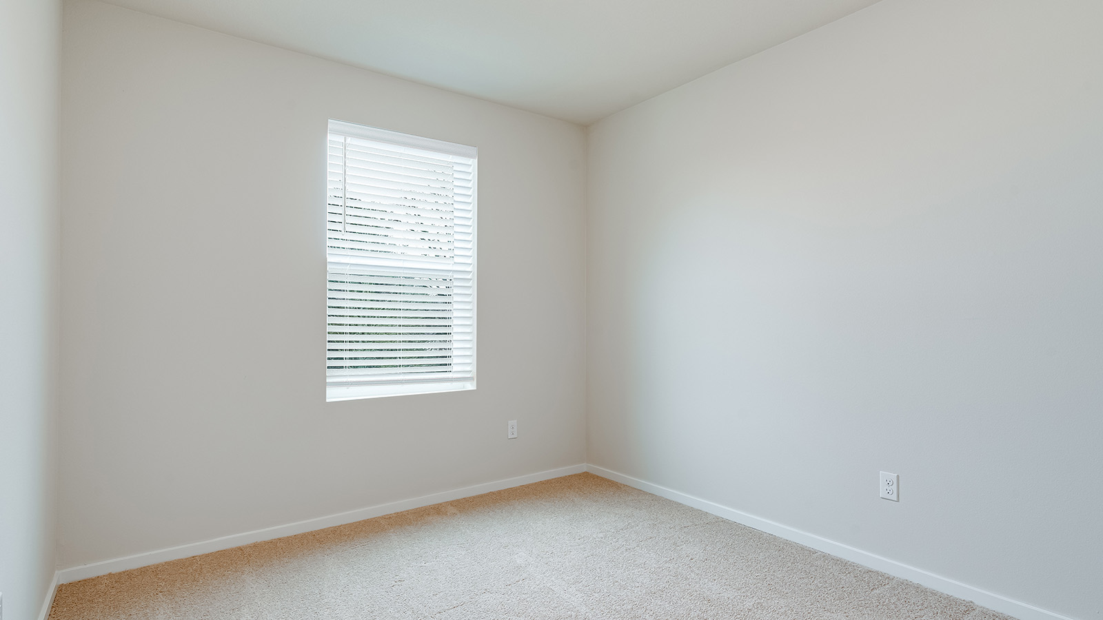 Bedroom with wall-to-wall carpet and a closet