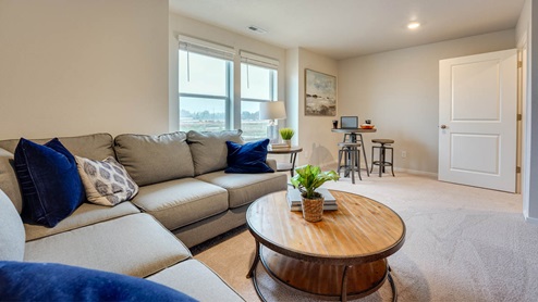 Bonus room with wall-to-wall carpet