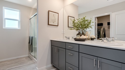 Primary bathroom with quartz counters and a walk-in shower