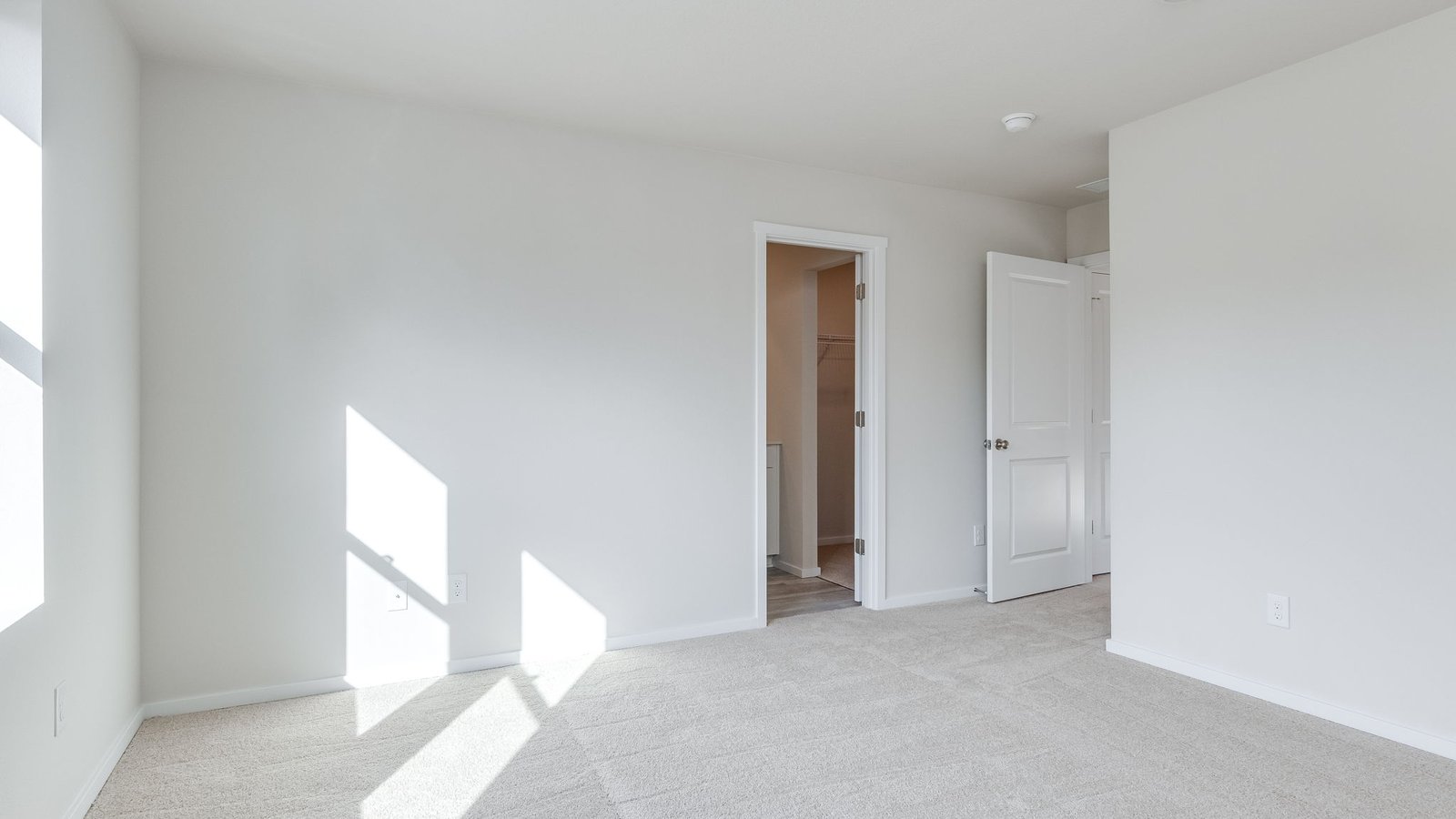 Primary bedroom with wall-to-wall carpet, a walk-in closet and an attached bathroom