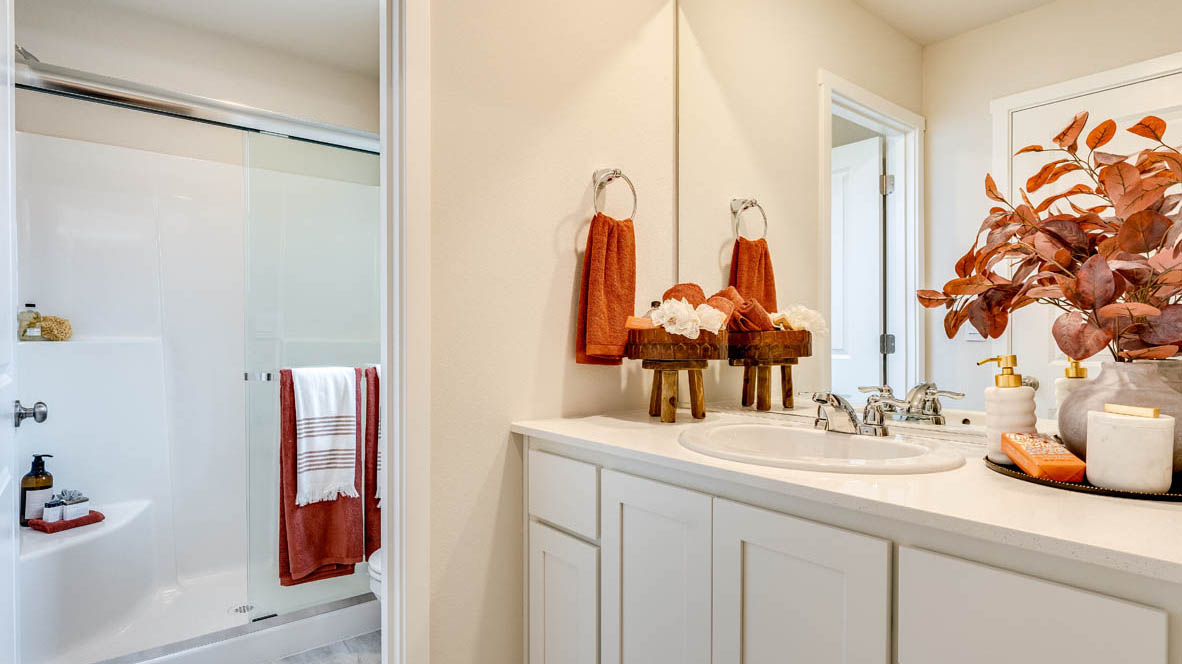Primary bathroom with quartz counters and a walk-in shower