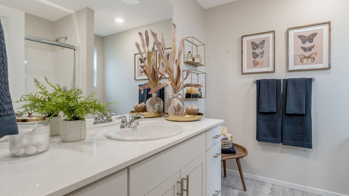 Primary bathroom with quartz counters and a walk-in shower
