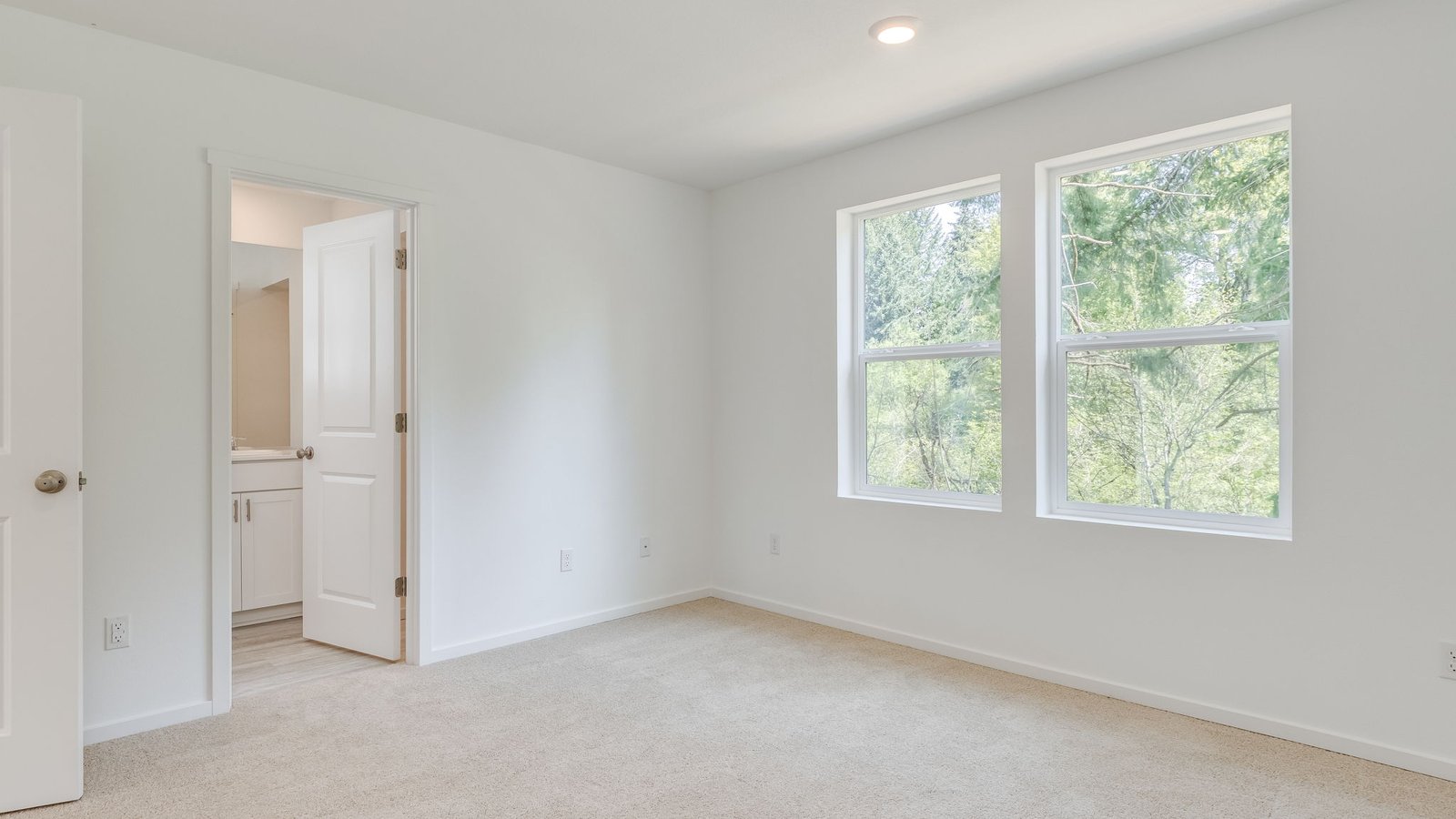 Primary bedroom with wall-to-wall carpet, a walk-in closet and an attached bathroom