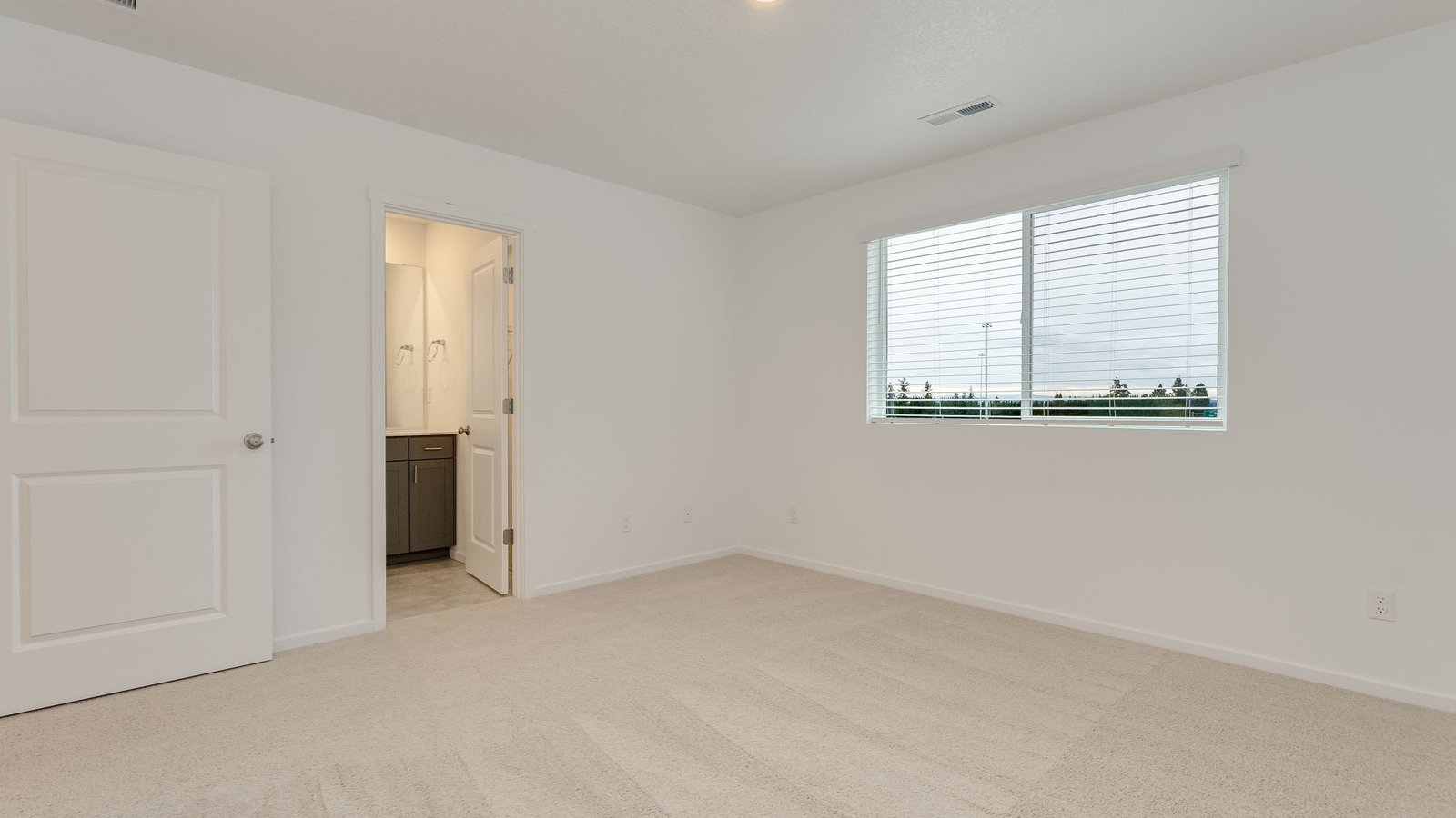 Primary bedroom with wall-to-wall carpet, a walk-in closet and an attached bathroom