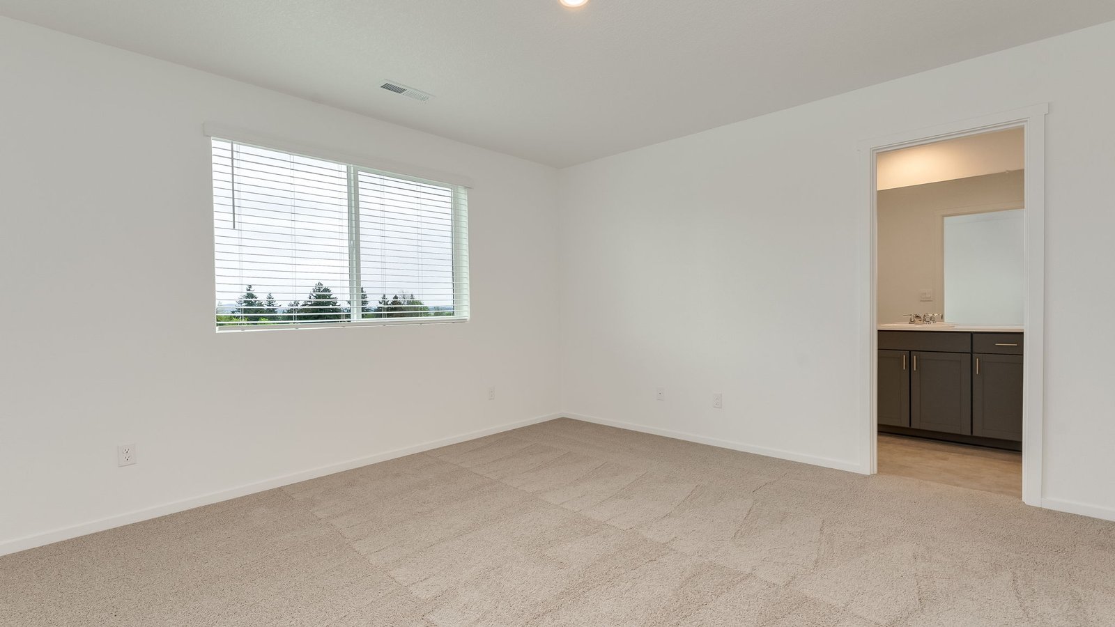 Primary bedroom with wall-to-wall carpet, a walk-in closet and an attached bathroom