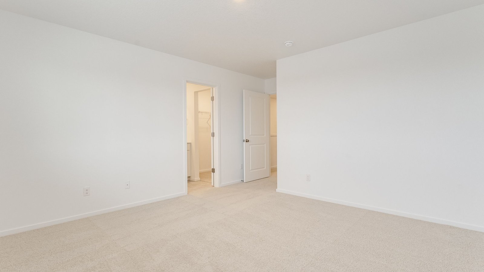 Primary bedroom with wall-to-wall carpet, a walk-in closet and an attached bathroom
