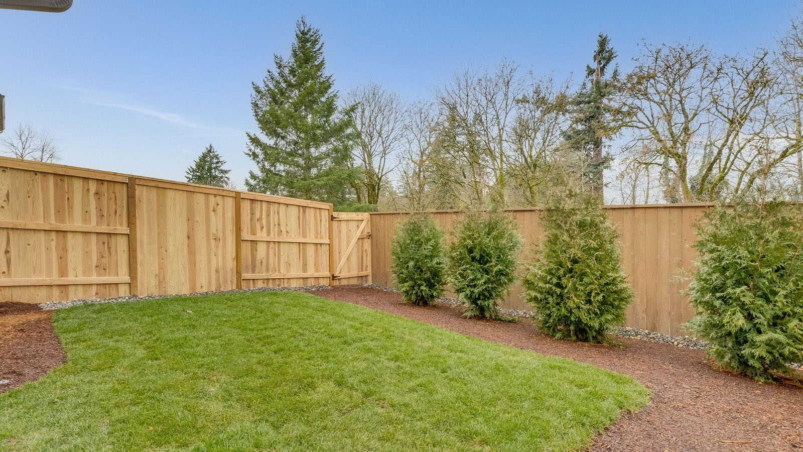 fully fenced backyard with sod lawn and a patio