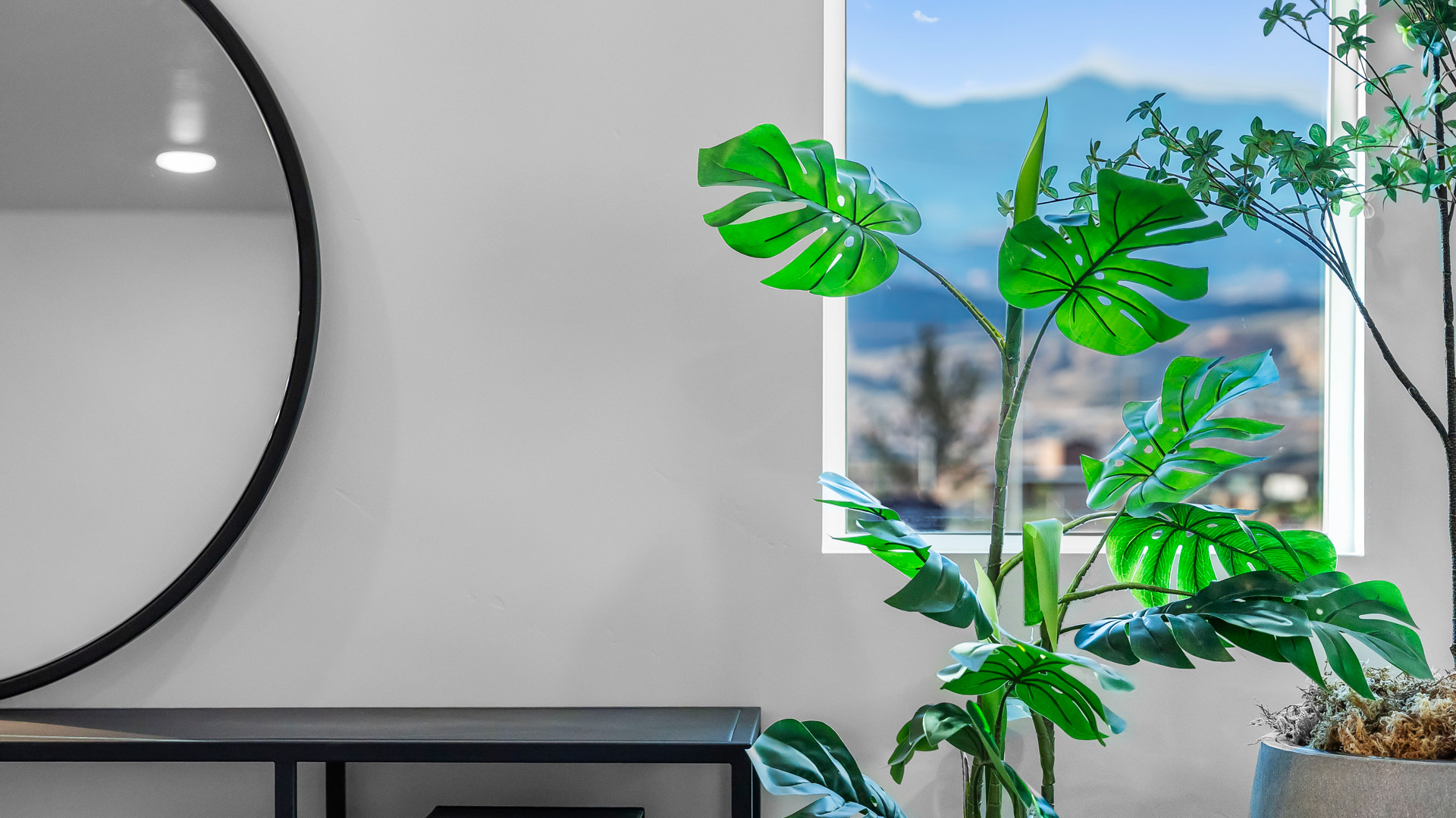 close up detailed shot