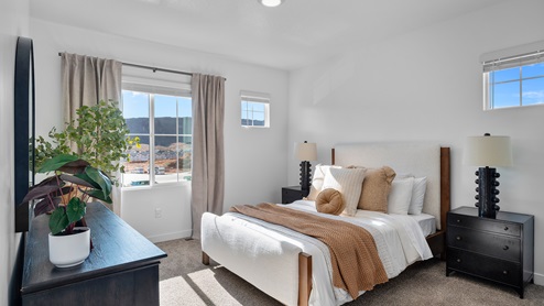Primary bedroom with large window and two smaller windows.